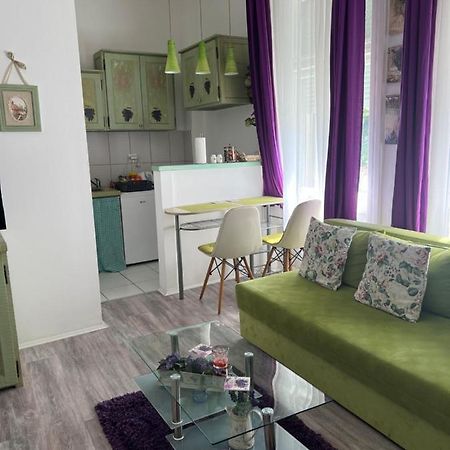 Center Cosy Vintage Apartment Novi Sad Exterior photo