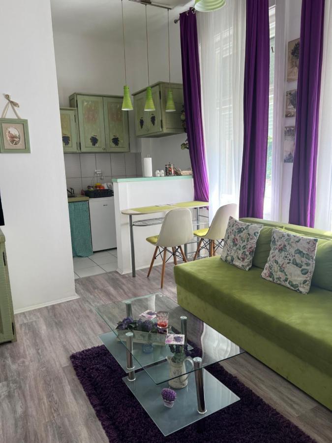 Center Cosy Vintage Apartment Novi Sad Exterior photo